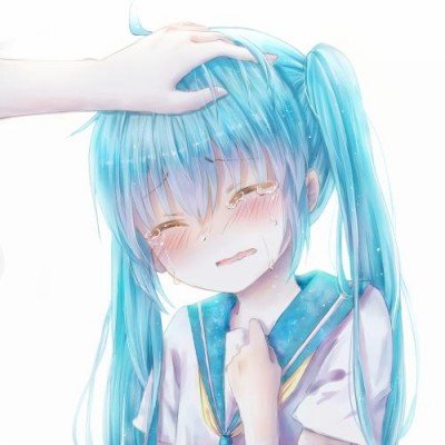 枫树价格三年跌超70%